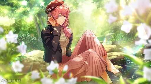 ꡼ No.037Υͥ / ֥ץ٥ȥȡ꡼ն ֤ϵοɤҲ𡣹 ܵϵȤʤäν˳ؤ֡Ȥο