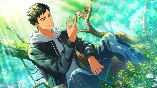 ꡼ No.038Υͥ / ֥ץ٥ȥȡ꡼ն ֤ϵοɤҲ𡣹 ܵϵȤʤäν˳ؤ֡Ȥο