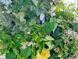 画像ギャラリー No.017のサムネイル画像 / 食いしん坊な黄ピクミンと杜の都をおさんぽ! リアルイベント「Pikmin Bloom Journey 2025:仙台」体験レポート