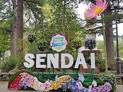 ��������˷�ʲ��ԥ��ߥ���Τ��Ԥ򤪤���ݡ����ꥢ�륤�٥�ȡ�Pikmin Bloom Journey 2025��������θ���ݡ���