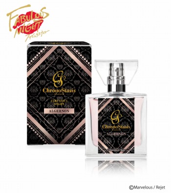 ꡼ No.003Υͥ / ֥եӥ饹ʥȡץե쥰1Ƥ610primaniacsȯ