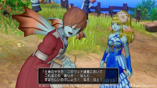 画像ギャラリー No.011のサムネイル画像 / 「ドラゴンクエスト X オンライン」大型アップデート“バージョン 6.1”の最新情報が公開。ウェナ諸島で出会う登場人物を紹介