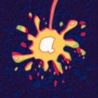 ѥå