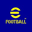 ꡼ No.006 | ƻܸйeݡ긢 2025 SHIGAסȥeFootballס֥ѥɥס֤פפeݡġפ3ȥ˷