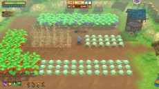 ꡼ No.007Υͥ / ƥDLǤоݤȤ̥뤬ϡоݥȥˡֶζܱ൪ס֥饭 פʤ