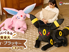等身大エーフィ・ブラッキーのぬいぐるみ,受注受付を開始。予定数に達した場合は再受注も予定