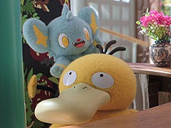 �֥ݥ���󥳥󥷥��른��ס�9��4���ۿ��ο����ԥ����ɤ��о줹��ݥ���󤿤����ǧ�Ǥ�����̼̿�����������