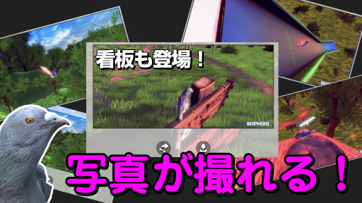 画像ギャラリー No.001のサムネイル画像 / 鳩のメタバース「ハトバース」,“写真を撮れる機能”と“看板”を追加