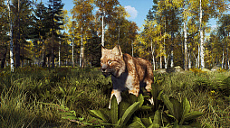 ꡼ No.003 | Way of the Hunterס󥸥ʥӥ¿ͤʴĶǼĤڤɲDLC֥ȥݸפ82ȯ