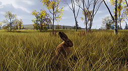 ꡼ No.009 | Way of the Hunterס󥸥ʥӥ¿ͤʴĶǼĤڤɲDLC֥ȥݸפ82ȯ