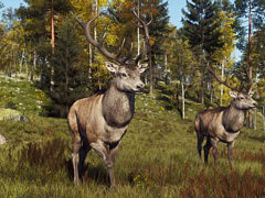 「Way of the Hunter」,スカンジナビアの多様な環境の中で狩猟を楽しめる追加DLC「リントゥコト保護区」を8月2日に発売