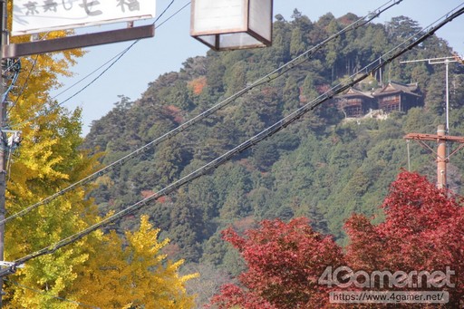 ���������꡼ No.001�Υ���ͥ������ / ����Ĭ�פȵ����ż֤Υ���ܤˤ���åԥ��ż֤����ԡ����̼־��˽�Ǥ���������夰��ߤ��о줷���������ˡ������ͤ��ݡ���