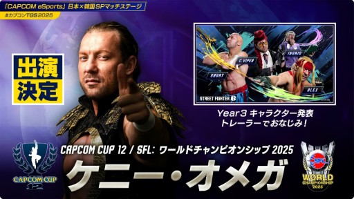 ���������꡼ No.004�Υ���ͥ������ / ��CAPCOM CUP 12�ס�SFL�����ɥե����ʥ�פδ�������å��������䤬10��10���˳��ϡ��辡�Υ饤�ֻ�İ��ͭ���ˡ�TGS2025��
