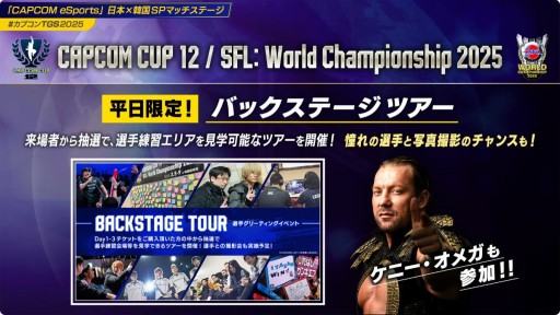 ���������꡼ No.008�Υ���ͥ������ / ��CAPCOM CUP 12�ס�SFL�����ɥե����ʥ�פδ�������å��������䤬10��10���˳��ϡ��辡�Υ饤�ֻ�İ��ͭ���ˡ�TGS2025��