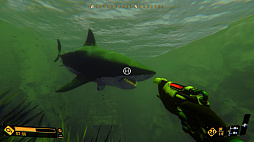 Deep Diving Adventures