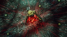 ꡼ No.032Υͥ / The First DescendantפΥ1Invasion׳롣Υʥѡ֥إ꡼פ֥ƥå ե쥤ʡפ
