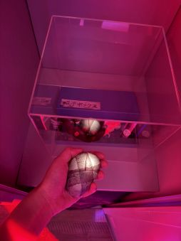 ���������꡼ No.014�Υ���ͥ������ / �������ȥҥ����Ͷ����Ρ�SILENT HILL f������ʪŸ�פ��θ�����ǯ��KONAMI�֡����ϡ��ᥤ�󥹥ơ����򶴤�Ǳ����ۡ���TGS2025��