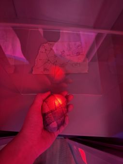 ���������꡼ No.015�Υ���ͥ������ / �������ȥҥ����Ͷ����Ρ�SILENT HILL f������ʪŸ�פ��θ�����ǯ��KONAMI�֡����ϡ��ᥤ�󥹥ơ����򶴤�Ǳ����ۡ���TGS2025��