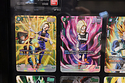 ꡼ No.020Υͥ / ONE PIECEɥ饴ܡ롤ǥʤɤΥɥब롣BANDAI CARD GAMES Fest23-24 World Tourץݡ