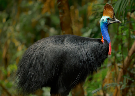 ���������꡼ No.008�Υ���ͥ������ / �Ƕ��ν������ĥҥ����ɥꤵ��Ρ�Anger Foot�ץ�ӥ塼������������Steam����