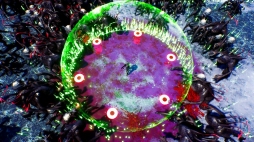 ���������꡼ No.005�Υ���ͥ������ / �������饤��STG�֥��꡼�ɥ��ɡס�2�ͥץ쥤�⡼�ɤ��ɲá��ն��������Ƿ��깭�������󥹥��������Ȥ��ֲ��Хȥ�