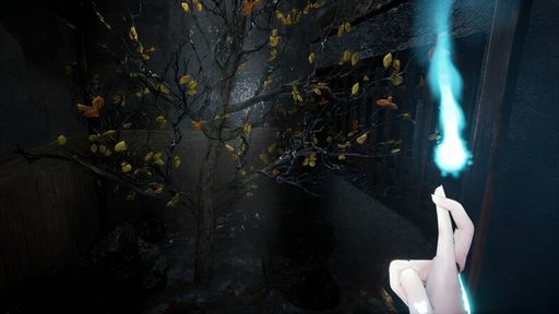 ���������꡼ No.003�Υ���ͥ������ / ����������ˡ�뵷���Ĥ��ܺ������Ѳ��ߤ����æ�Ф��ܻؤ����ۥ顼�������Chiyo�פ��θ��Ǥ�Steam���ۿ�����