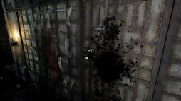 ���������꡼ No.005�Υ���ͥ������ / ����������ˡ�뵷���Ĥ��ܺ������Ѳ��ߤ����æ�Ф��ܻؤ����ۥ顼�������Chiyo�פ��θ��Ǥ�Steam���ۿ�����