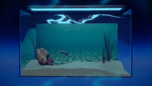 ꡼ No.002 | Ѿѥޥå䤵ʡַɥܥå֥ޥꥦ -Muscle Aquarium Simulator-ס2024ǯ2Ⱦۿ