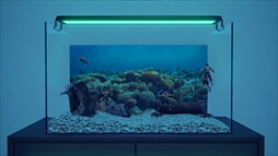 ꡼ No.005 | Ѿѥޥå䤵ʡַɥܥå֥ޥꥦ -Muscle Aquarium Simulator-ס2024ǯ2Ⱦۿ