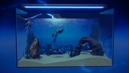 ꡼ No.006 | Ѿѥޥå䤵ʡַɥܥå֥ޥꥦ -Muscle Aquarium Simulator-ס2024ǯ2Ⱦۿ