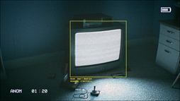 ���������꡼ No.010�Υ���ͥ������ / ̵�¤�³��ϭ������æ�Ф��뤿��˰��Ѥ�õ�������ۥ顼�������CAPTURED�ס�Steam���ȥ��ڡ��������