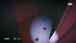 ���������꡼ No.003�Υ���ͥ������ / �롼�פ���ϭ������æ�Ф���ˤϡ�13�Ĥΰ۾︽�ݤ򻣱Ƥ��ʤ���Фʤ�ʤ����ۥ顼�������CAPTURED�ס�Steam���ۿ�����