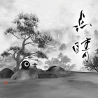 �ѥå�����