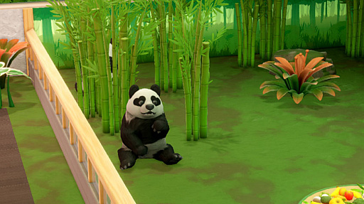 ���������꡼ No.006�Υ���ͥ������ / �֥ġ��ݥ���ȥߥ塼������ס�SF ADV�֥�٥󥸡����֡��������١����ץ�ͥåȡפ��ơ��ޤα����ޥåפ�Ÿ���ʤʤɤ��о�