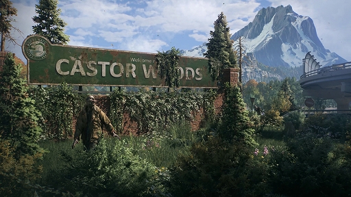 ꡼ No.002Υͥ / ֥󥰥饤ȡӡȡסʪƳƮ롤ϡȥӡȥ⡼ɡɤʤɤξ