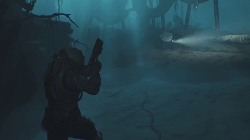 ꡼ No.004Υͥ / Υץ쥤ݡϿХХۥ顼Cronos: The New DawnפϹ٤롣̥ϤǤꡤ̤ãȰȴ̣廊