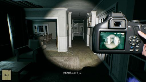 ꡼ No.007Υͥ / ͩ饫餪ưͩΥ٥ȥåȤͩ̿-GhostShotסSteamۿ