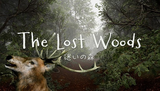 ꡼ No.001 | Τ̿æФܻؤ8ֽи饤ADVTheLostWoods / ¤ο2025ǯ1Steamǥ꡼