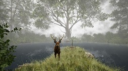 ꡼ No.003 | Τ̿æФܻؤ8ֽи饤ADVTheLostWoods / ¤ο2025ǯ1Steamǥ꡼