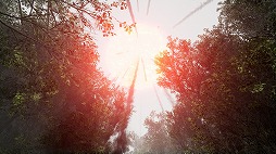 ꡼ No.005 | Τ̿æФܻؤ8ֽи饤ADVTheLostWoods / ¤ο2025ǯ1Steamǥ꡼