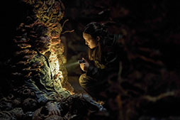 画像ギャラリー No.006のサムネイル画像 / ドラマ「THE LAST OF US シーズン2」,デジタルレンタル&販売を開始。11月12日にはブルーレイコンプリート・ボックスもリリース