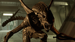 ꡼ No.008 | Alien: Rogue Incursion