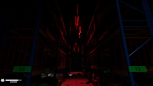 ҸˤǡʬοȤǭĤĺȡۥ顼ORDER 13פΥ꡼310˷