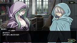 ˡȤν Sorcerer's Servant