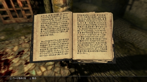 ꡼ No.029 | ޥǤǻϤThe Elder Scrolls IV: Oblivionס꡼̤иǤ¿ɡPR