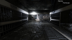 Synthetic Captive