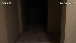 Paranormal Inc.