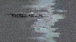 ꡼ No.008 | ۥ顼Dead Takeס㥹Ⱦ1Ƥȯɽˡ롦˥塼ܥ󤵤󡤥٥󡦥󤬽б