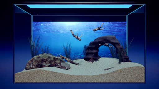 ꡼ No.001 | ǥޥåϡʡ˥֥ޥꥦ -Muscle Aquarium Simulator-SwitchǤ619ȯ