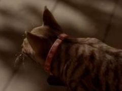 1ɤ��ǭ�Ȥʤꡤ�Ե�̣�ʲ��Ԥ�����ƨ���ʤ��鵭���򽸤�롣õ�����ƥ륹���������֤ޤ�ǭ��ƨ���ޤ������ס��ۿ������������˷���